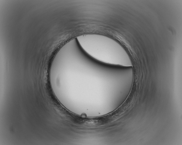 X0000114090497200910051213