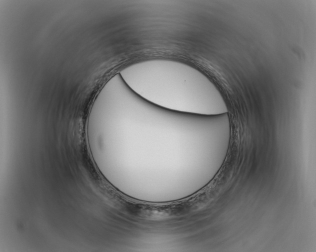 X0000114090498200910051213