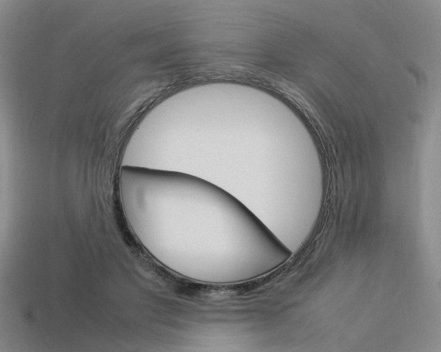 X0000114090501200910051213