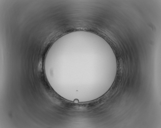 X0000114090502200910051213