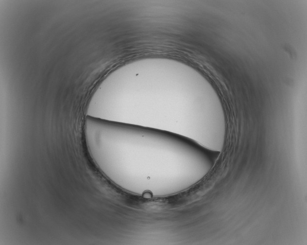 X0000114090505200910051213