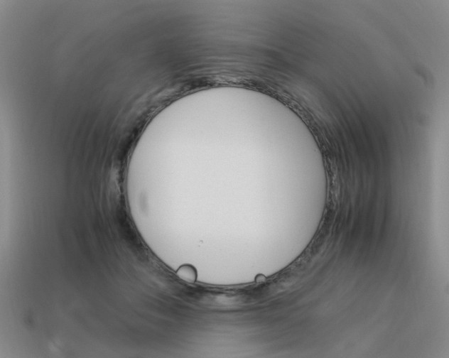 X0000114090506200910051213