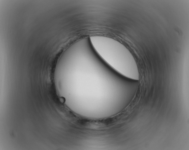 X0000114090512200910051213