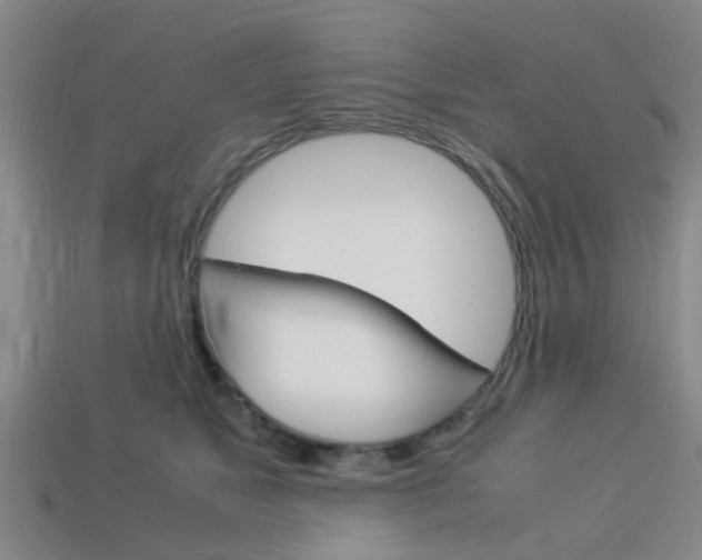 X0000114090517200910051213