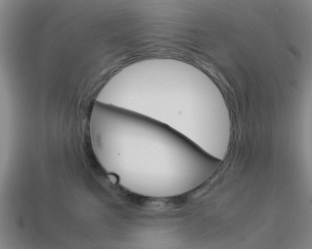 X0000114090521200910051213
