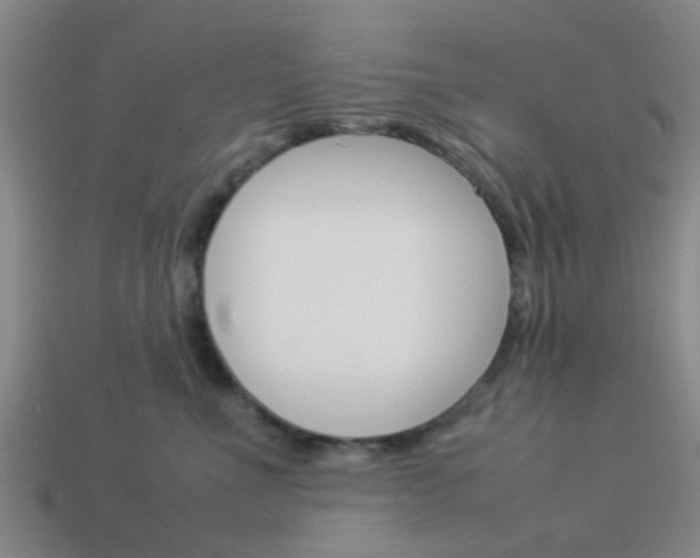 X0000114090523200910051213