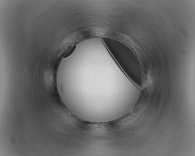 X0000114090524200910051213