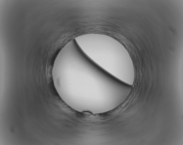 X0000114090525200910051213