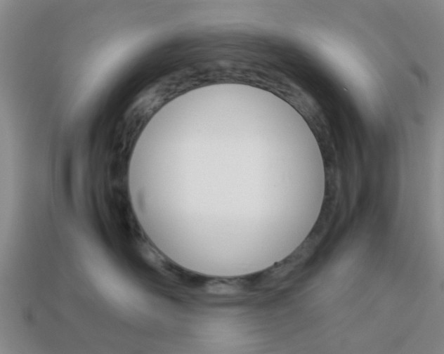 X0000114090526200910051213