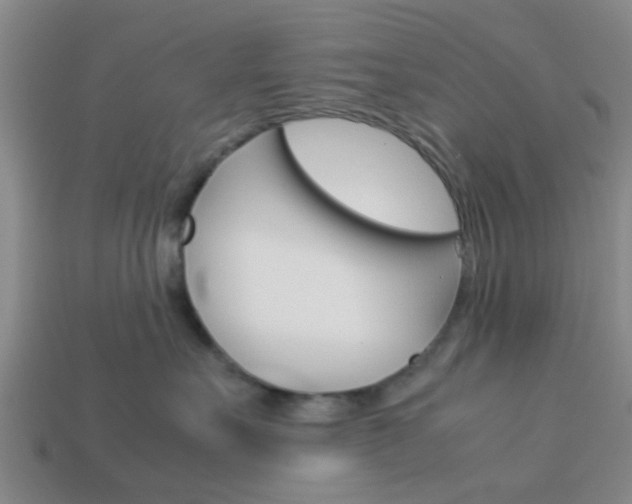 X0000114090527200910051212