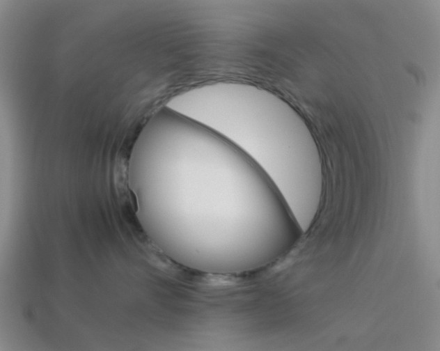 X0000114090528200910051212