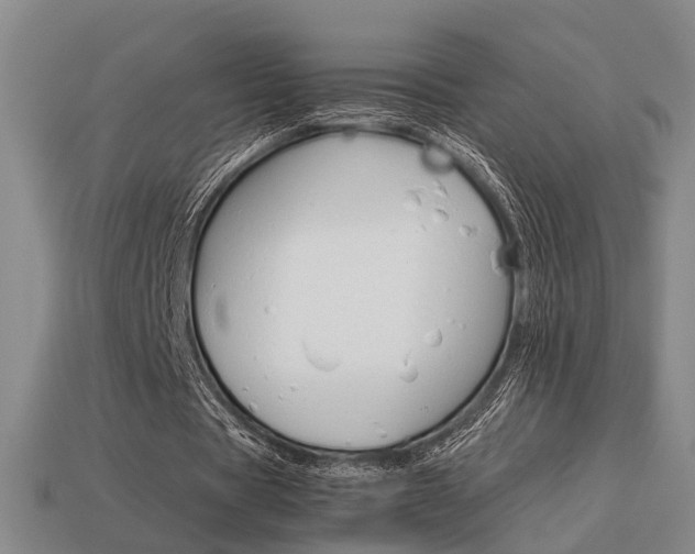 X0000114090529200910051212
