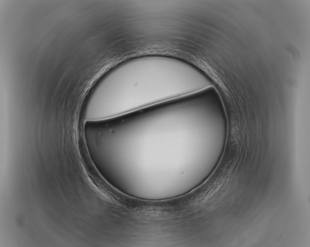 X0000114090530200910051212