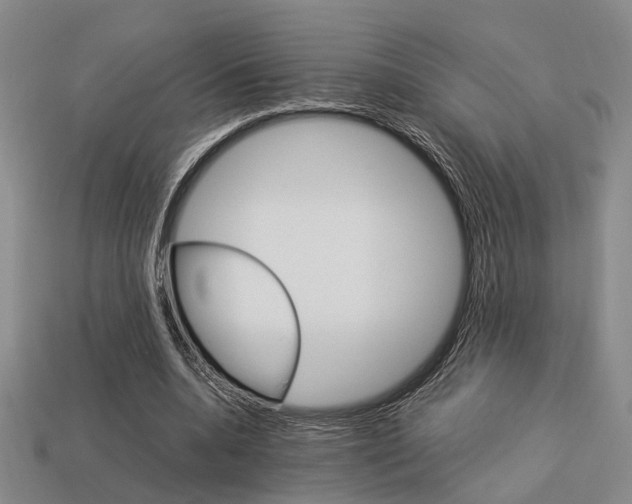 X0000114090536200910051212