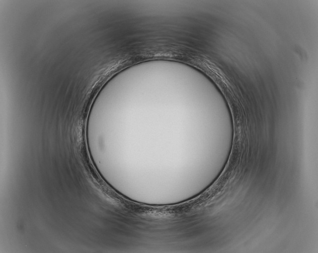 X0000114090537200910051212