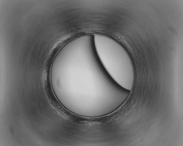 X0000114090539200910051212