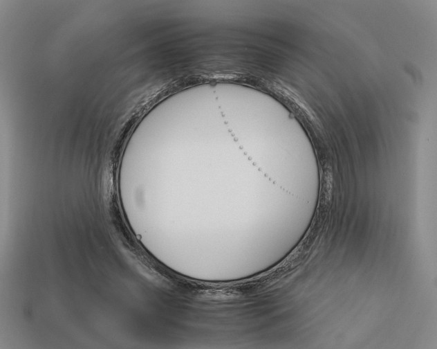X0000114090541200910051212