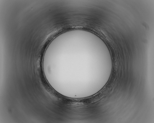 X0000114090543200910051212