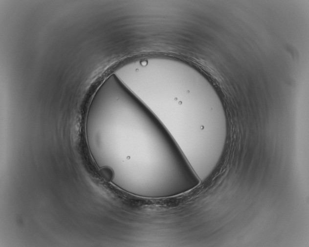 X0000114090544200910051212