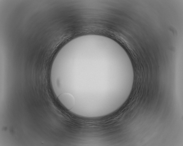 X0000114090546200910051212