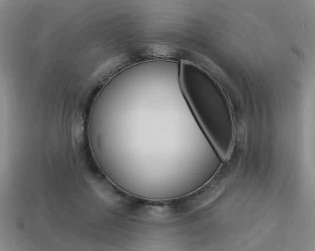 X0000114090552200910051212