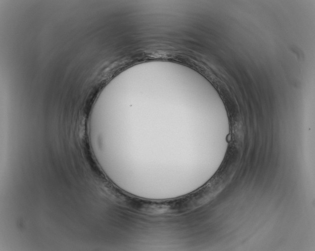 X0000114090554200910051212