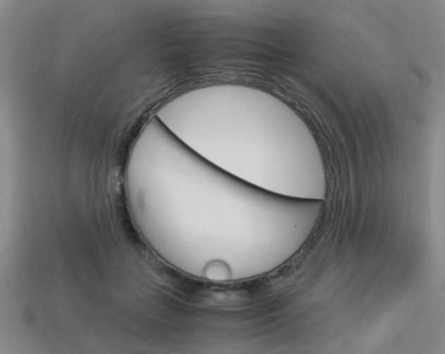 X0000114090555200910051212