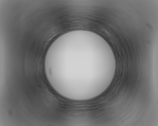 X0000114090556200910051212