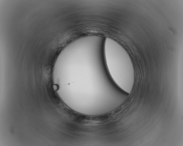 X0000114090559200910051212