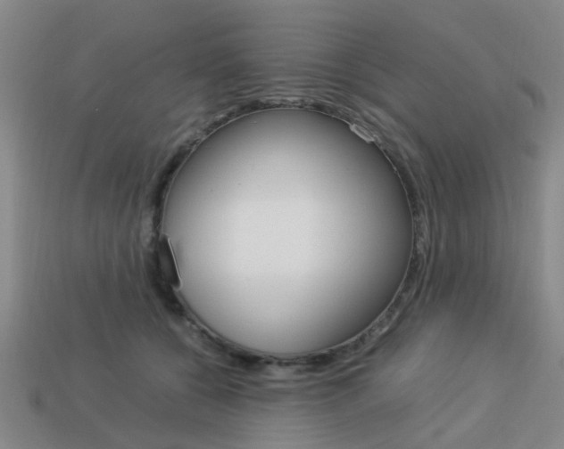X0000114090560200910051212