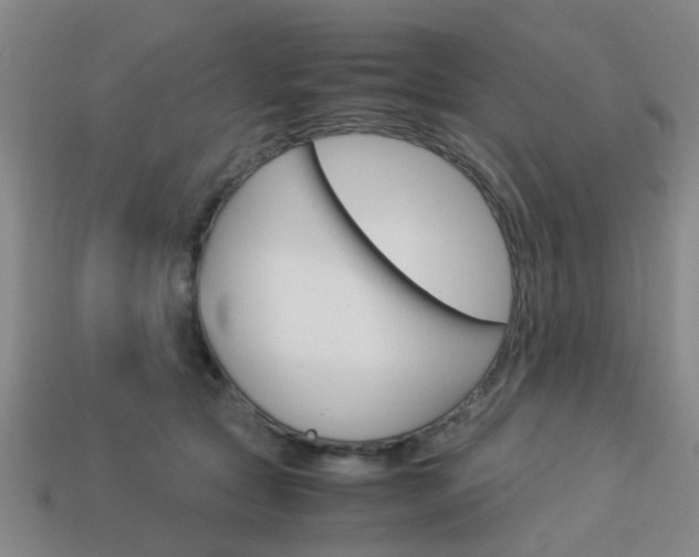 X0000114090561200910051212
