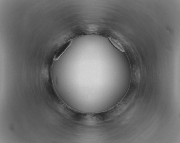 X0000114090562200910051212