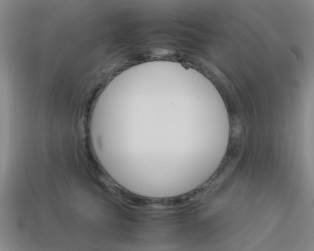 X0000114090565200910051212
