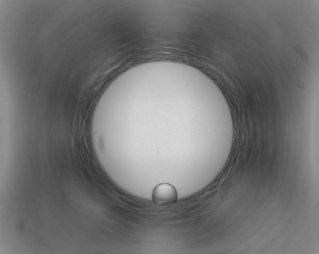 X0000114090566200910051212