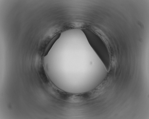 X0000114090568200910051212