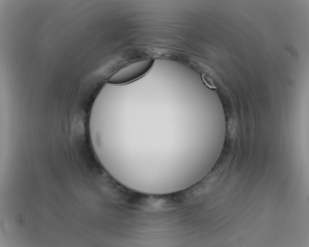 X0000114090570200910051212
