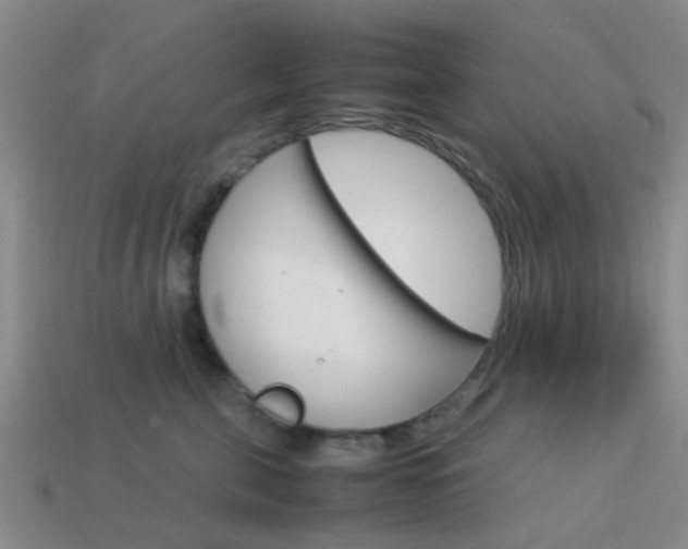 X0000114090571200910051212