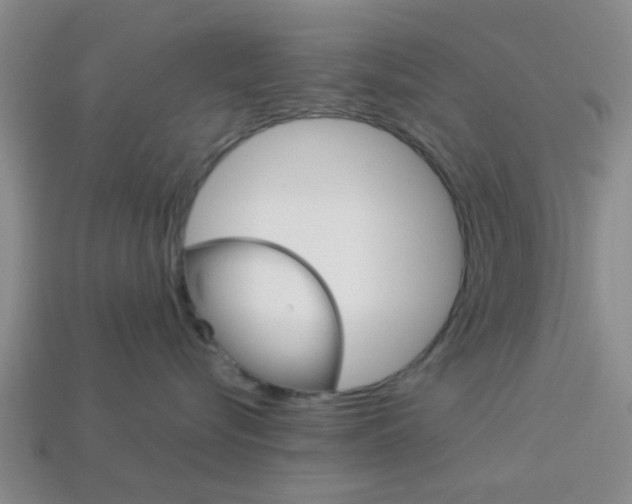 X0000114090576200910051212