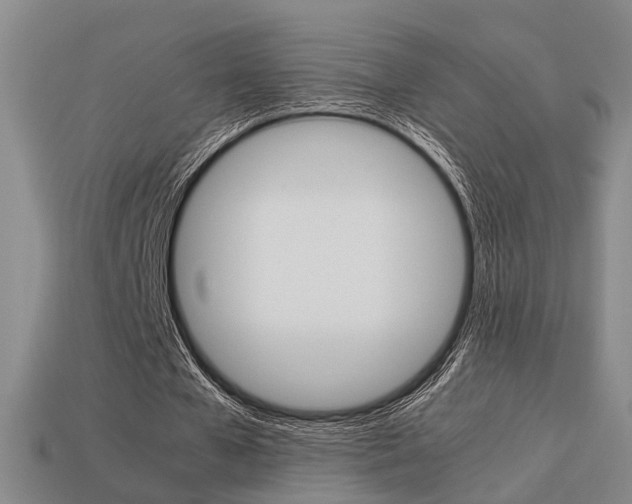 X0000114090577200910051212
