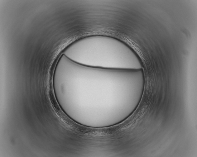 X0000114090578200910051212