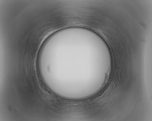 X0000114090579200910051212