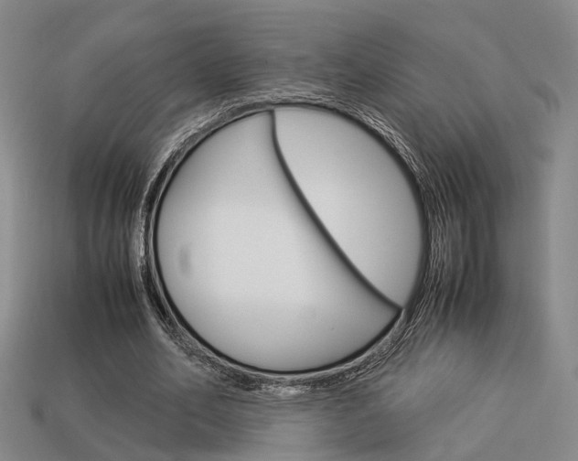 X0000114090582200910051212