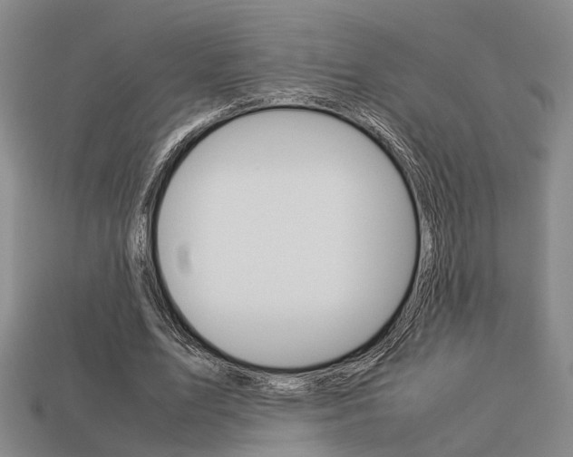 X0000114090583200910051212