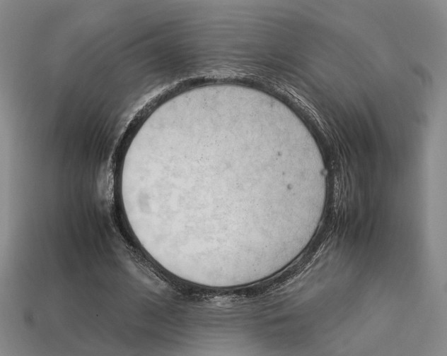 X0000114090584200910051212