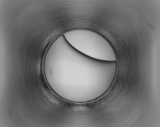 X0000114090586200910051212