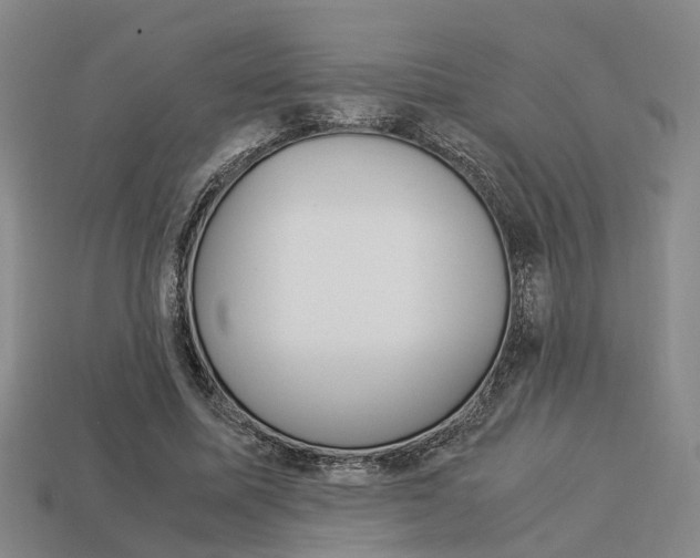 X0000114090587200910051212