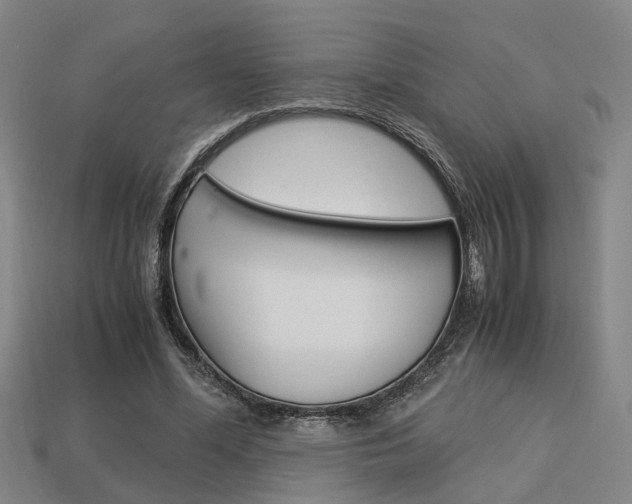 X0000114090588200910051212