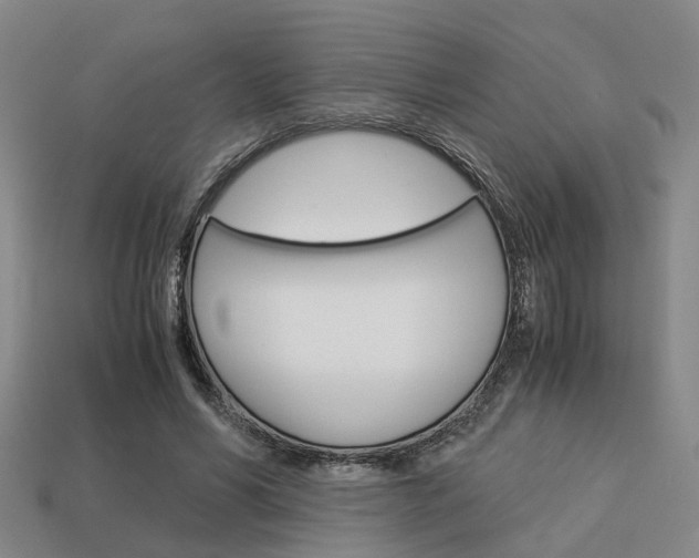 X0000114090590200910051212
