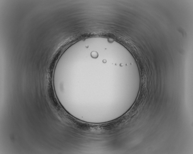 X0000114090591200910051211