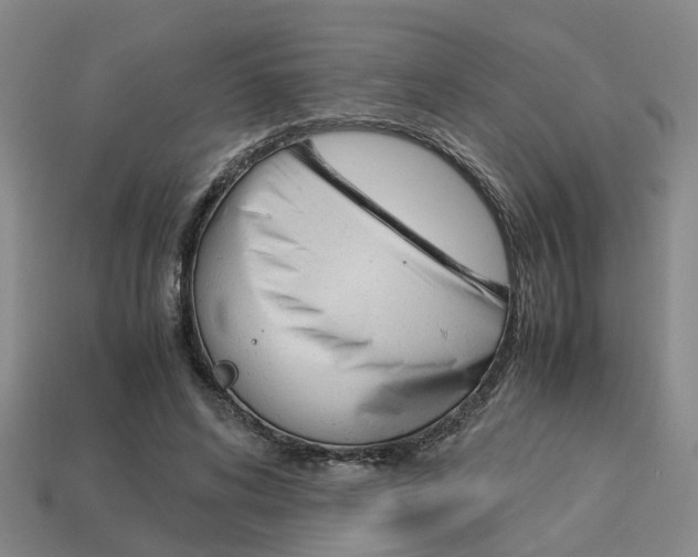 X0000114090592200910051211